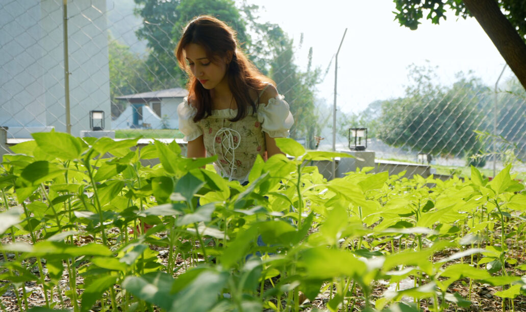 Sustainability2_Aranyam_Rishikesh.jpg Sustainability2_Aranyam_Rishikesh.jpg